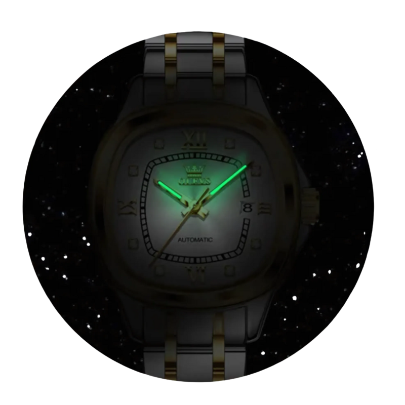 Montre Automatique Femme Bracelet Bicolore & Aiguilles Phosphorescentes zoom sur le dial phosphorescent dans le noir