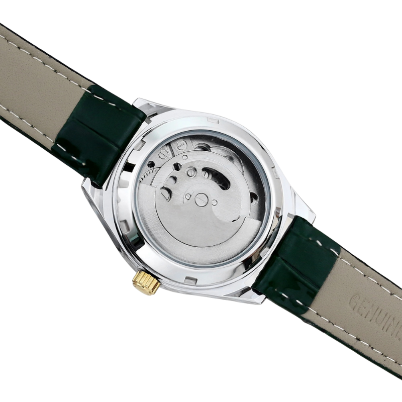 Montre Chronographe Femme Lunette Dorée Waterproof 30mm verte sur transparent gris vue de derrière