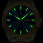 Montre Homme Acier Bicolore Quartz, Jour/Date